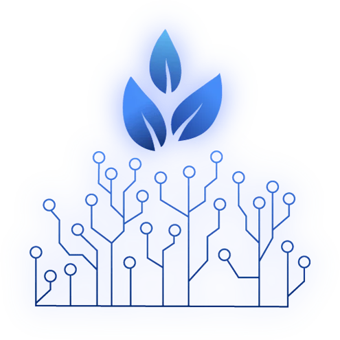 شرکت طراحی سایت ساپرن